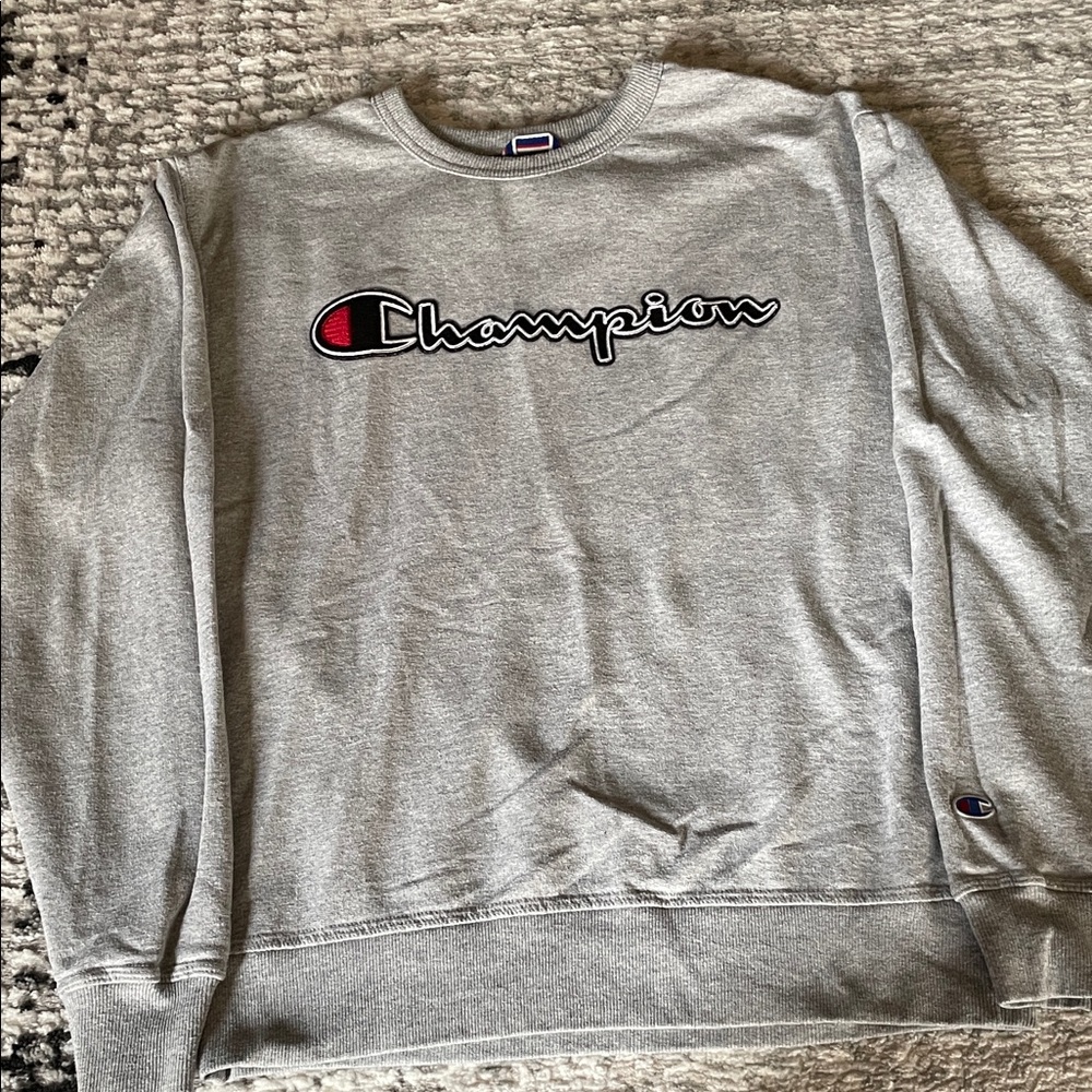 Champion Men's Crewneck Sweater in Gray